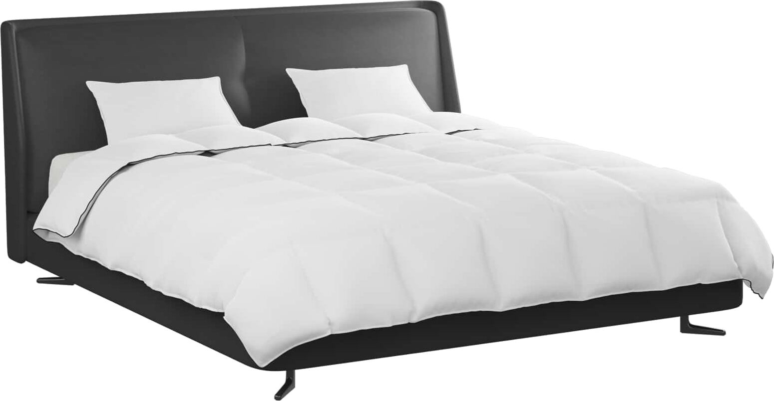 vidaXL Duvet d'hiver avec oreiller 3 pièces Blanc Down Feather