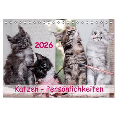 Katzen Persönlichkeiten 2026 (Tischkalender 2026 DIN A5 quer), CALVENDO Monatskalender