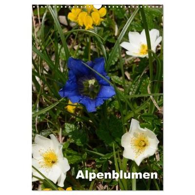 Alpenblumen (Wandkalender 2027 DIN A3 hoch), CALVENDO Monatskalender