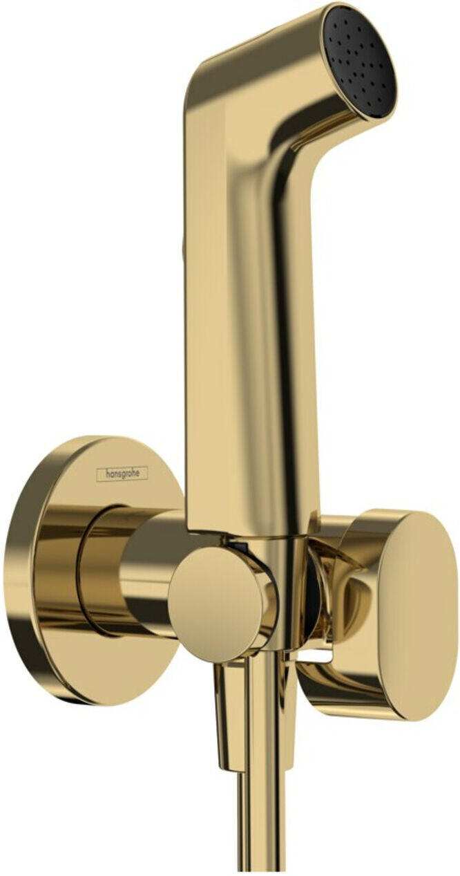 Hansgrohe Handbrause Bidette S f.Kaltwasser m. Schlauch 1250mm und Porter PGO (29230990)