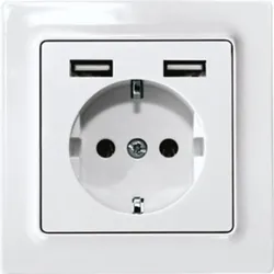 Eltako Schutzkontakt-Steckdose DSS55E+2xUSBA-wg