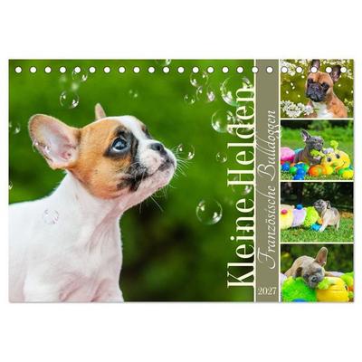 Kleine Helden - Französische Bulldoggen (Tischkalender 2027 DIN A5 quer), CALVENDO Monatskalender