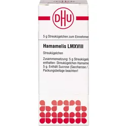 Hamamelis Lm Xviii 5 G