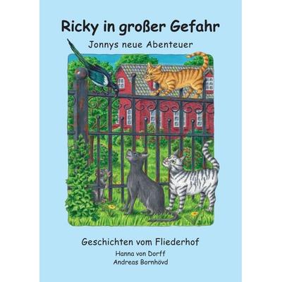 Ricky in großer Gefahr, Taschenbuch von Hanna Dorff, Tredition, 978-3-7497-6663-5