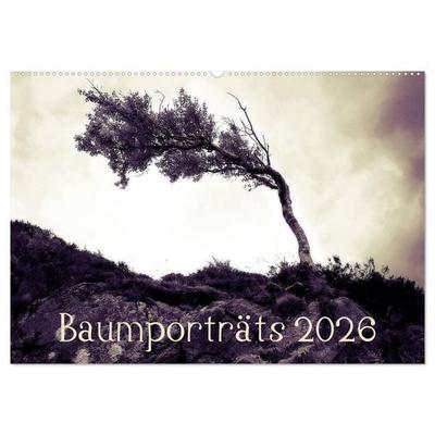 Baumporträts 2026 (Wandkalender 2026 DIN A2 quer), CALVENDO Monatskalender