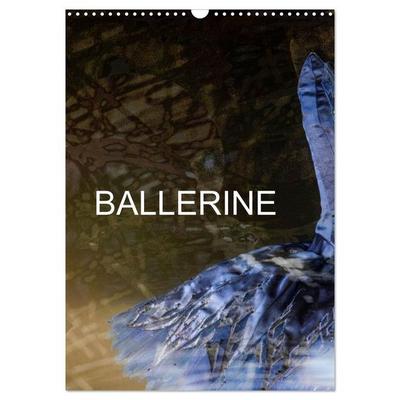BALLERINE (Calendrier mural 2026 DIN A3 horizontal), CALVENDO calendrier mensuel