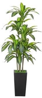 Nearly Natural 5-ft Artificial Real Touch Dracaena in Decorative Planter