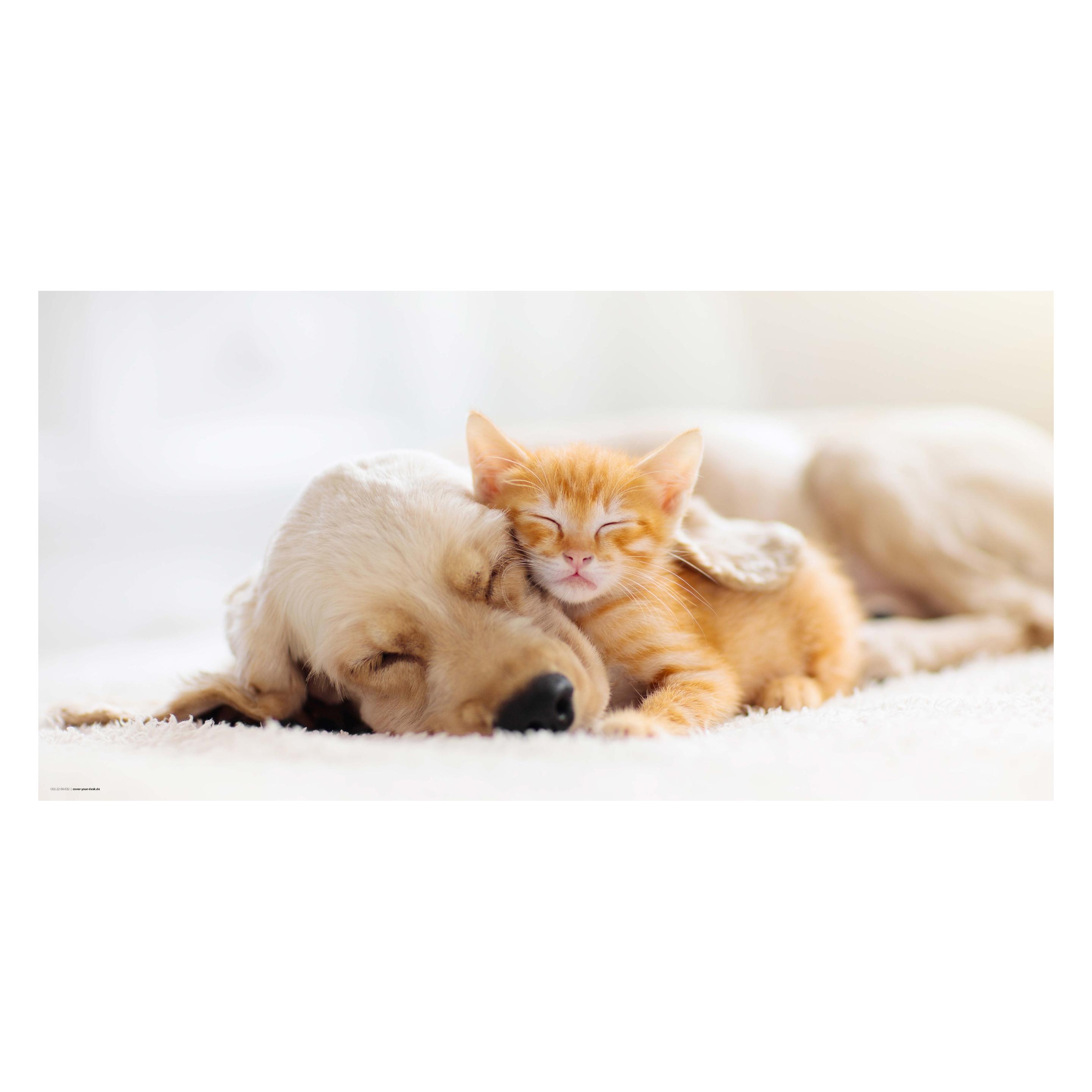 CoverYourDesk Schreibtischunterlage Freundschaft zwischen Katze und Hund (21557600)
