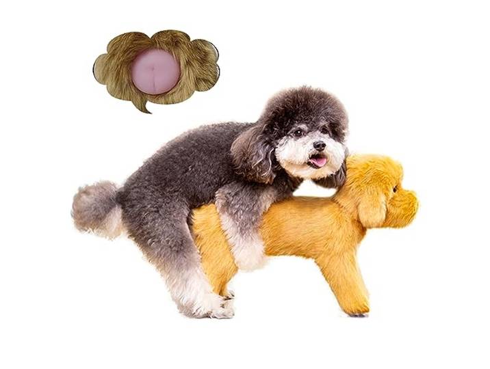 ZZYYZZ Welpen-Herzschlag-Spielzeug, Simulations-Paarungshundespielzeug, interaktives Schlaf-Silikonspielzeug für Hunde, langlebiges, weiches Plüsch-Haustierhund, schlafendes,7.1 /18/cm