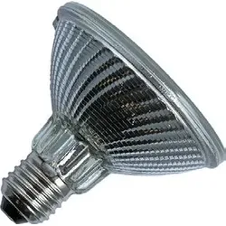 SPL | Große Fassung E27 | Reflektorlampe | 96mm | 150W