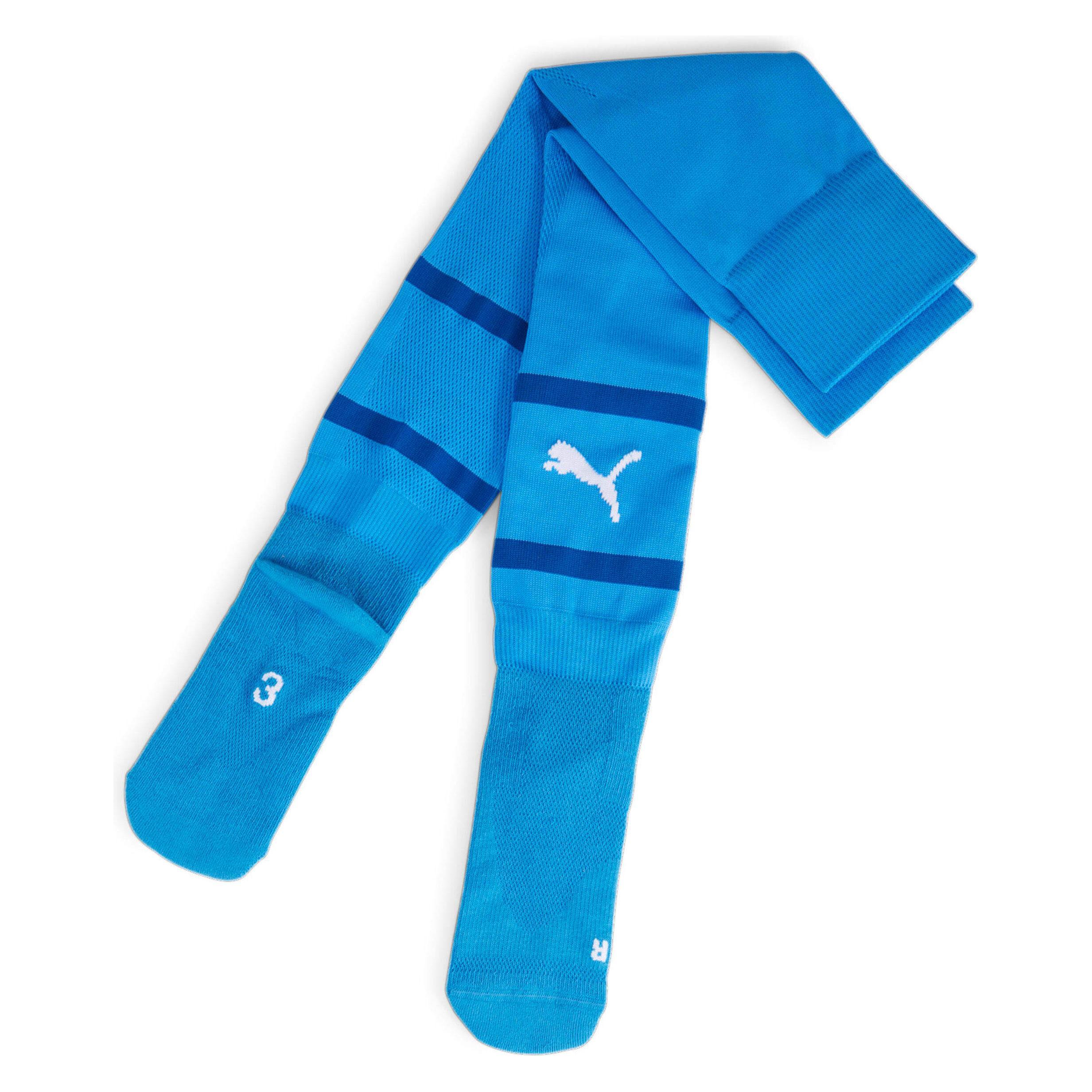 Puma teamFINAL Socks (M) (705746_02)