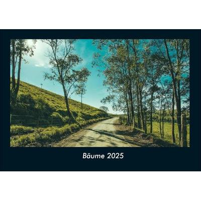 Bäume 2025 Fotokalender DIN A4