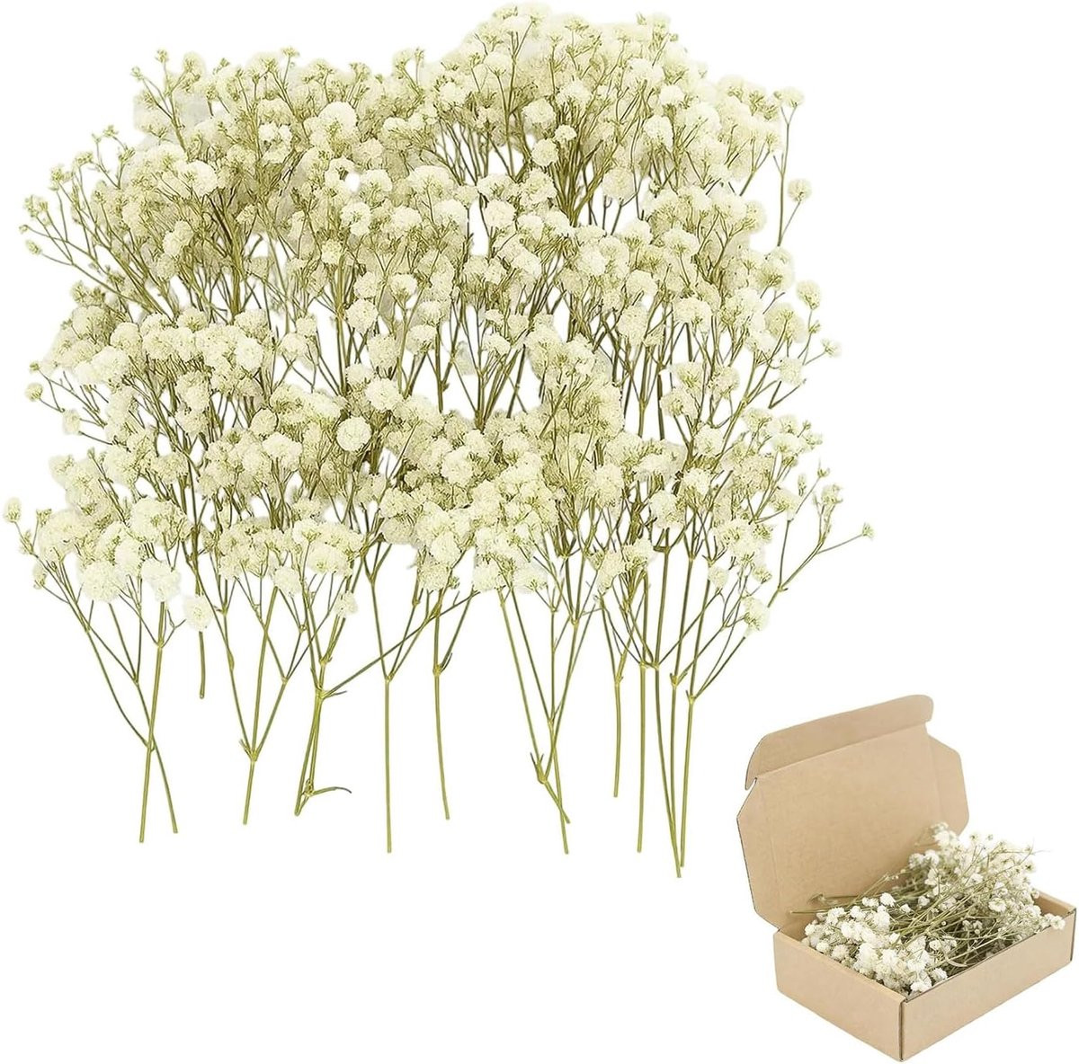 100 stuks Gedroogde witte Gypsophila natuurlijke bloemen voor zelfgemaakte kaarsen