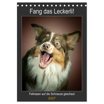 Fang das Leckerli (Tischkalender 2027 DIN A5 hoch), CALVENDO Monatskalender