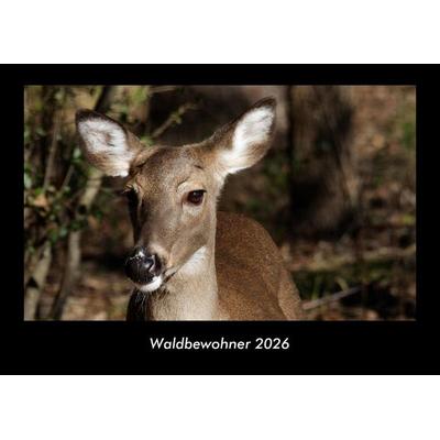 Waldbewohner 2026 Fotokalender DIN A3