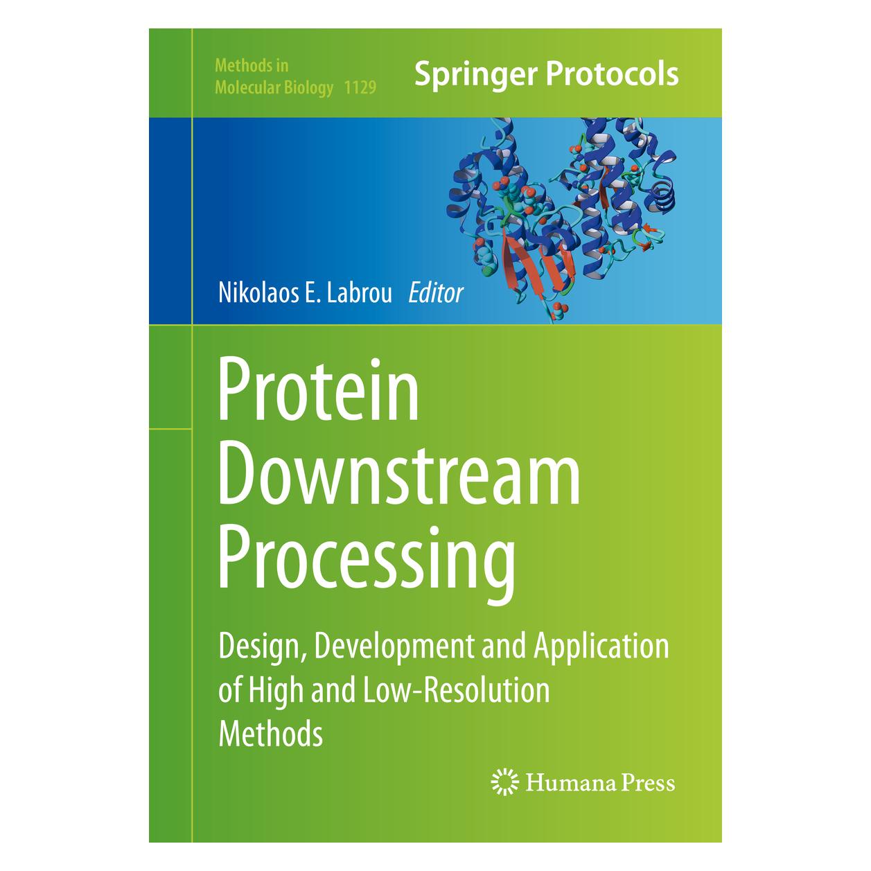 Springer Protein Downstream Processing (Englisch, Nikolaos E. Labrou, 2014) (9781627039765)