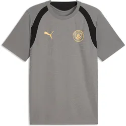 Puma, Herren, Fussballtrikot, MCFC Training Jersey (3XL), Grau