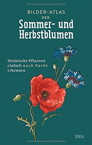 Bilder-Atlas der Sommer- und Herbstblumen - -: Heimische Pflanzen einfach nach Farbe erkennen - Preis vom 30.09.2026 22:30:23 h