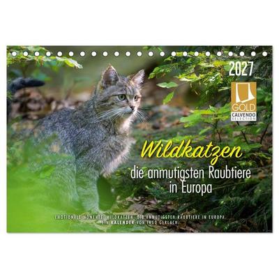 Wildkatzen - die anmutigsten Raubiere in Europa. (Tischkalender 2027 DIN A5 quer), CALVENDO Monatskalender