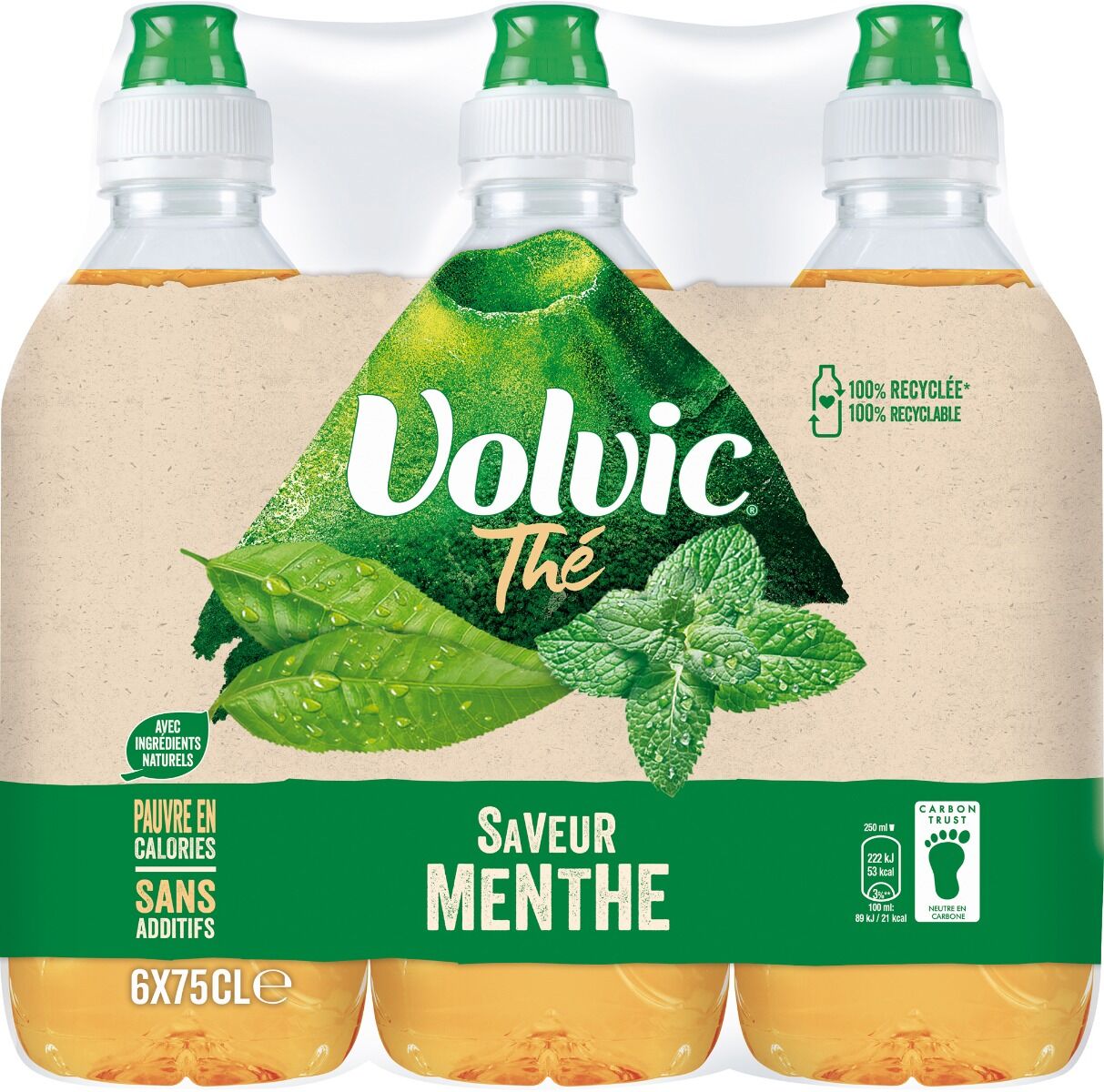 Volvic Tee Minze Erfrischungsgetraenk 500ml - 6 x 0.75 L