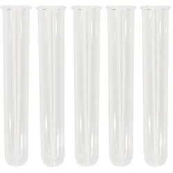 Reagenzgläser, 12 cm, 2 cm Ø, 5 Stück
