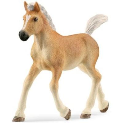 schleich® 13951 Haflinger Fohlen