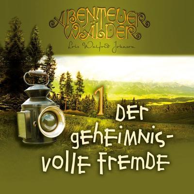 Der geheimnisvolle Fremde - Lois Walfrid Johnson, Audio, 4056813806519