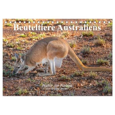 Beuteltiere Australiens (Tischkalender 2026 DIN A5 quer), CALVENDO Monatskalender