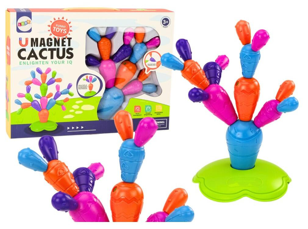 Leantoys Magnetische Cactus-bouwblokken 16 elementen