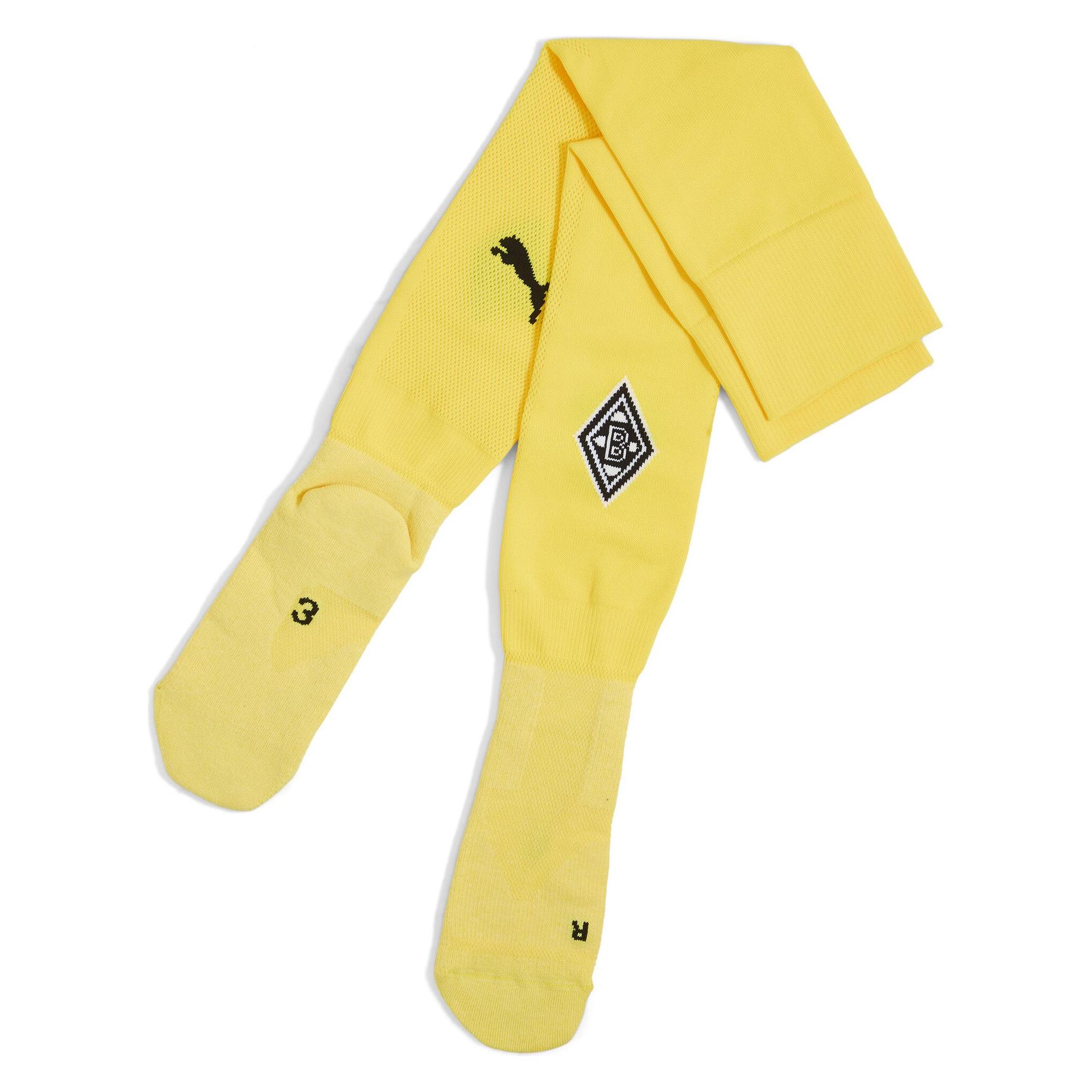 Puma Team BMG Plain Socks Replica (M) (774888)