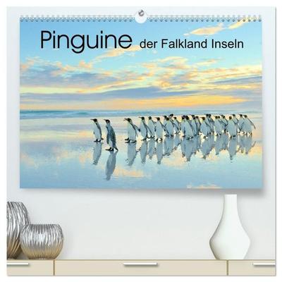 Pinguine der Falkland Inseln (hochwertiger Premium Wandkalender 2027 DIN A2 quer), Kunstdruck in Hochglanz