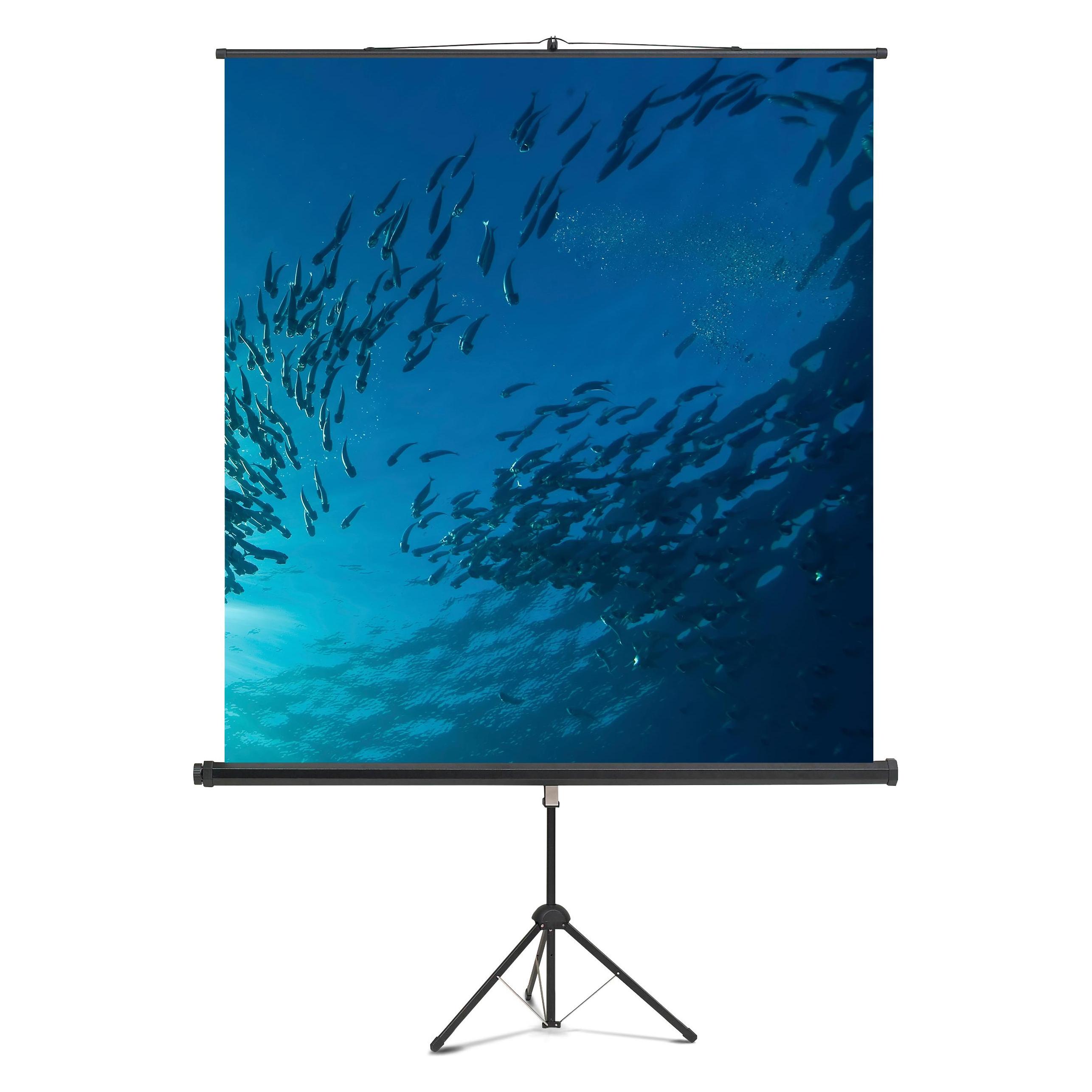 Magnetoplan Stativleinwand Professional 6100112 150x150cm weiss (6100112)