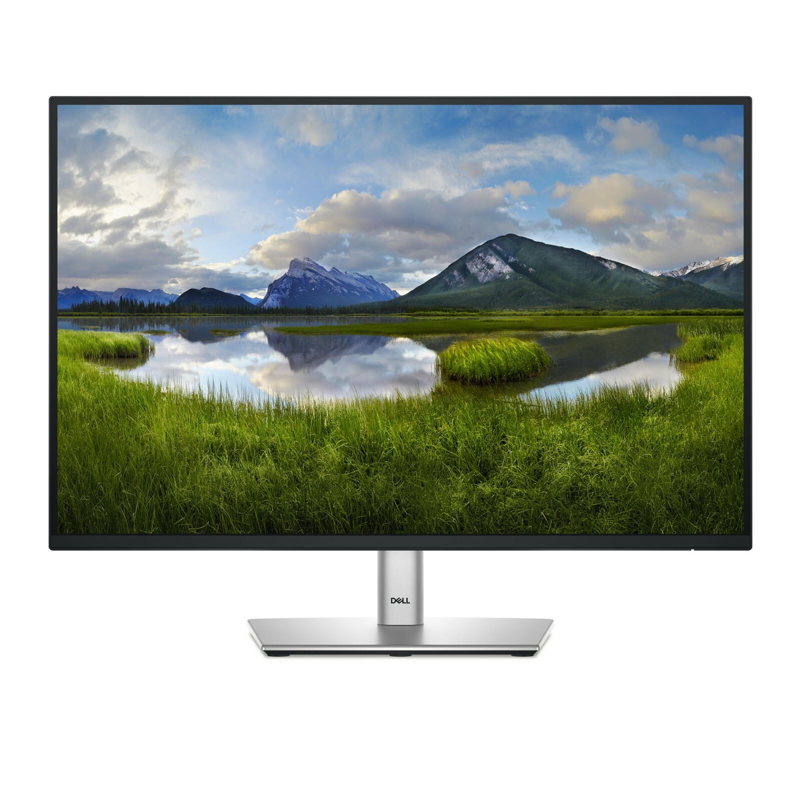 Dell P2425E Monitor (24,1 Zoll) 61,1 cm DELL-P2425E