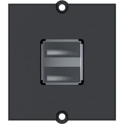 Bachmann Zentralplatte USB 2-fach schwarz 917.141 Schraubbefestigung
