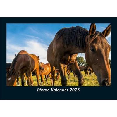 Pferde Kalender 2025 Fotokalender DIN A5