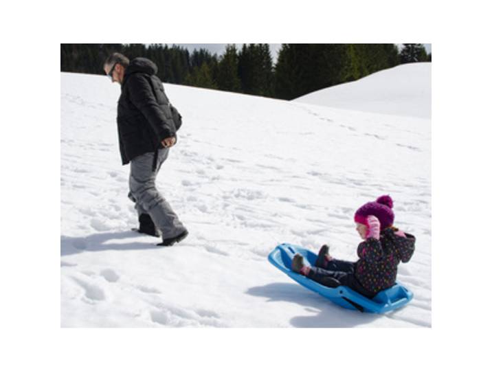 Luge, plastique, 1 personne, bleu