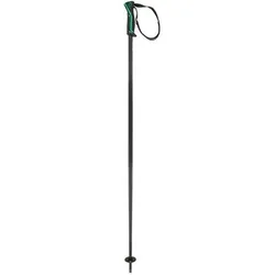 HEAD Herren Alpin-Skistock Frontside black green, Größe 115 in Grau Grau