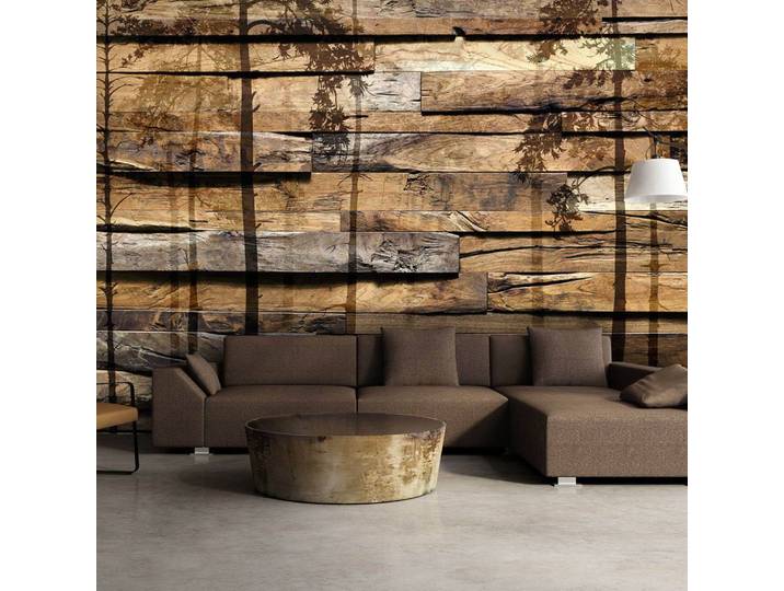 Papier peint Shadow of Trees 250 x 175cm 250 x 175 cm