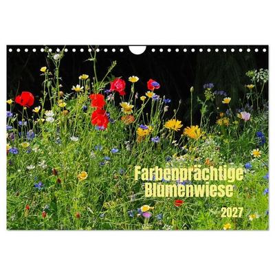 Farbenprächtige Blumenwiese (Wandkalender 2027 DIN A4 quer), CALVENDO Monatskalender