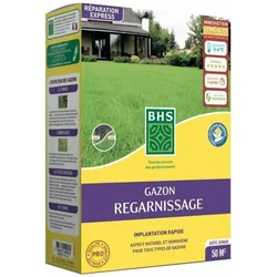 BHS, Samen, Samen 1 kg (Rasensamen)