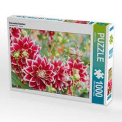 CALVENDO Puzzle Rotweiße Dahlien 1000 Teile Lege-Größe 64 x 48 cm Foto-Puzzle Bild von Gisela Kruse