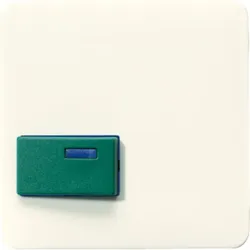 Jung Abdeckung 642 C
