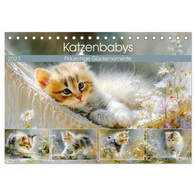 Katzenbabys. Flauschige Glücksmomente (Tischkalender 2027 DIN A5 quer), CALVENDO Monatskalender