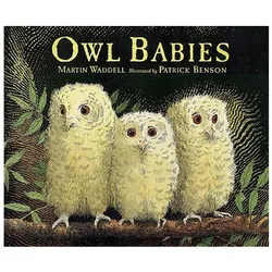 Owl Babies Big Book, Kinderbücher von Martin Waddell