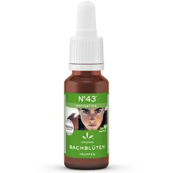 BACHBLÜTEN Nr.43 MOTIVATION Tropfen 20 ml