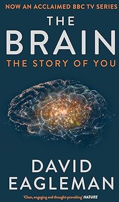 Canongate Books The Brain: The Story of You by David Eagleman - Paperback Popular Science Book on Memory, Identity & the Human Mind