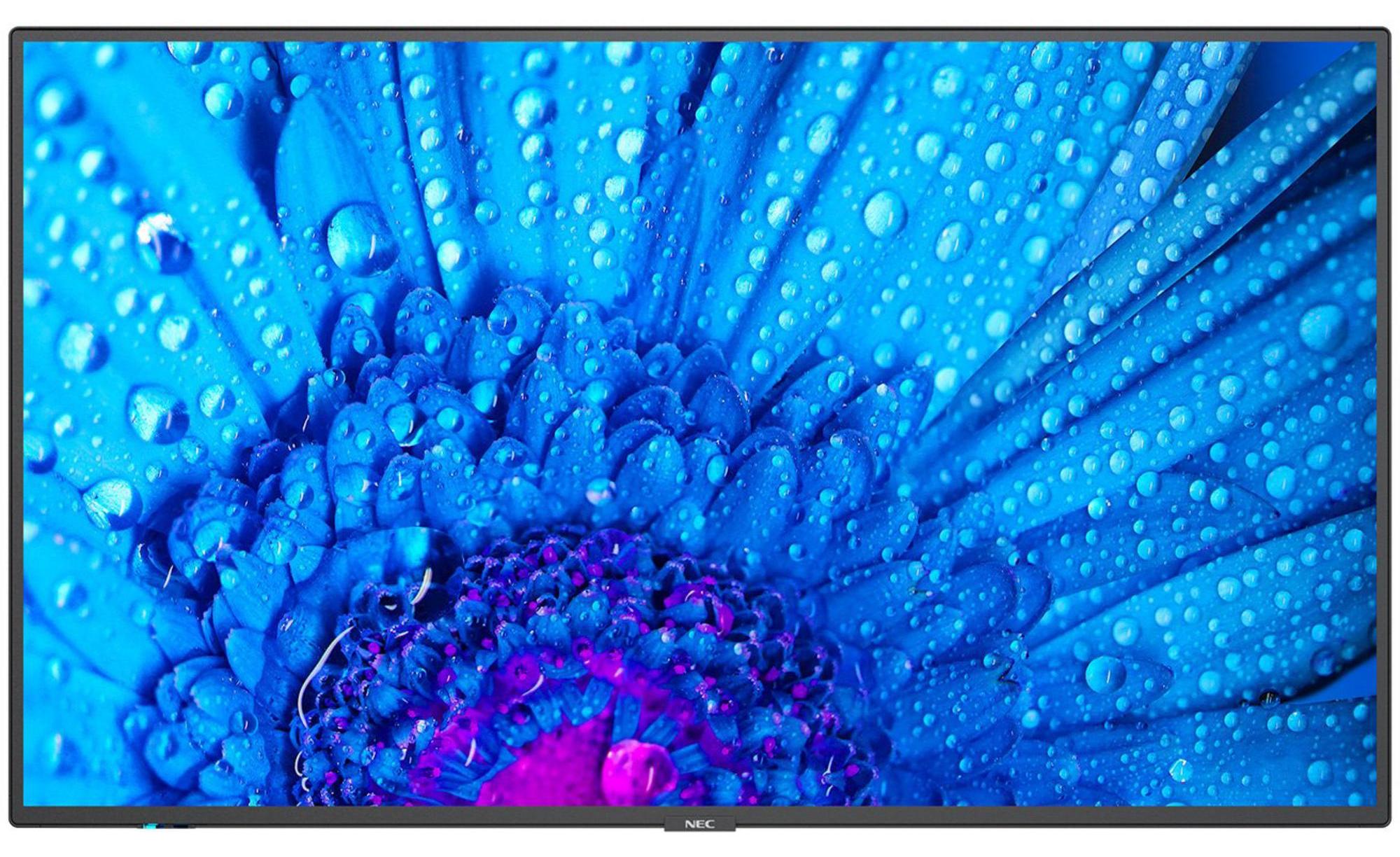 NEC MultiSync M651, Digital Signage Flachbildschirm, 165,1 cm (65"), IPS, 3840 x 2160 Pixel, 24/7