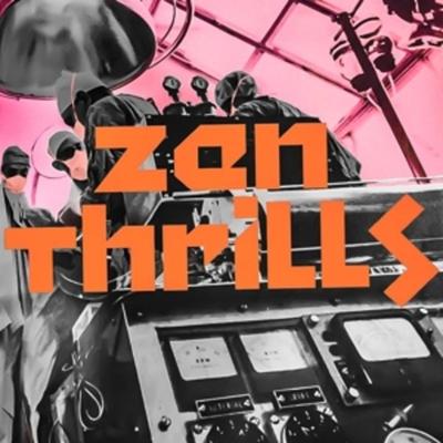 Zen Thrills - Omar Rodriguez-Lopez, Vinyl