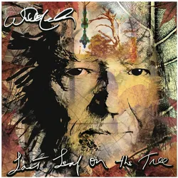 Sony Music, Schallplatten, Last Leaf On The Tree (Willie Nelson)