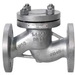 KSB Rückschlagventil BOACHEM RXA, DN 250 PN 40, Werkstoff 1.4408